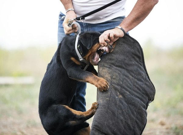 Réunion chantier : boostez la sécurité avec la preuve digitale